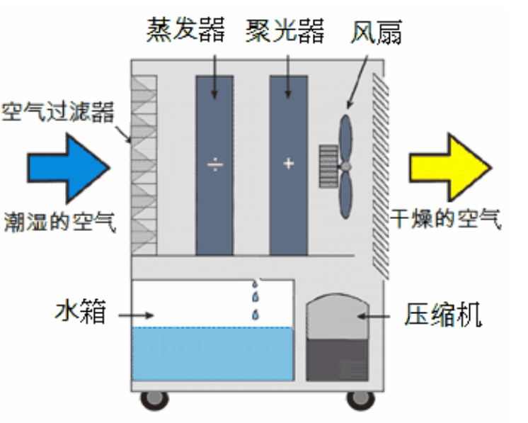 转轮91香蕉视频下载网站启动不正常的原因