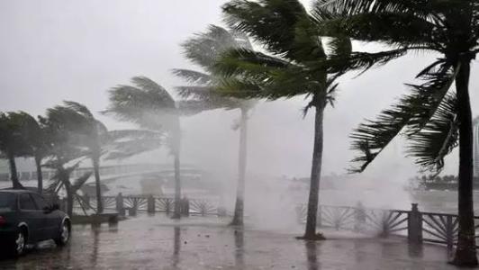 8月台风雨即将来，91香蕉视频下载网站还得用起来