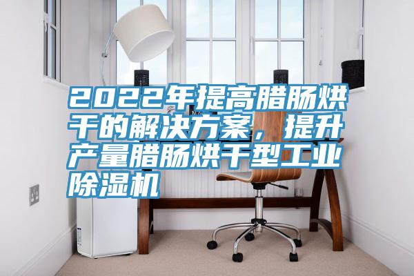 2022年提高腊肠烘干的解决方案，提升产量腊肠烘干型工业91香蕉视频下载网站