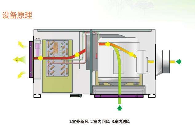 新风91香蕉视频下载网站