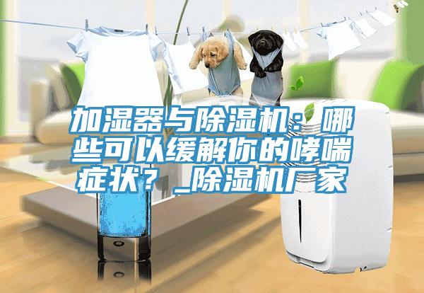 加湿器与91香蕉视频下载网站：哪些可以缓解你的哮喘症状？_91香蕉视频下载网站厂家