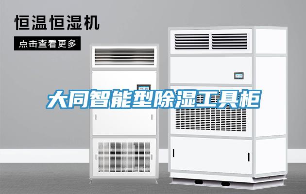 大同智能型除湿工具柜