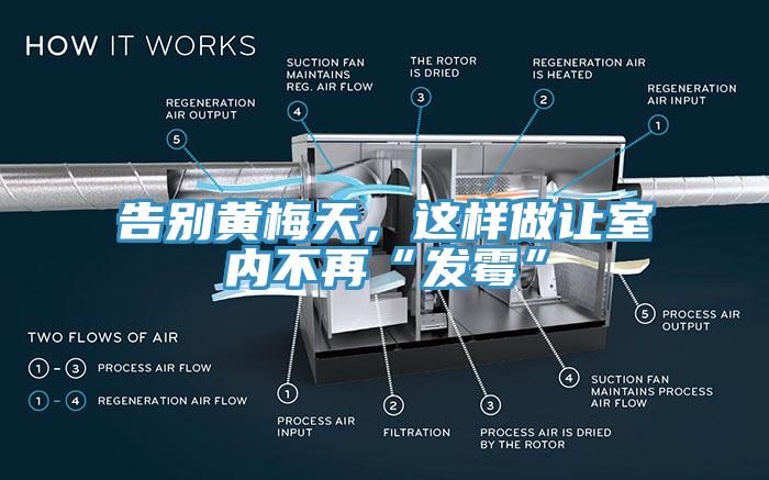 告别黄梅天，这样做让室内不再“发霉”