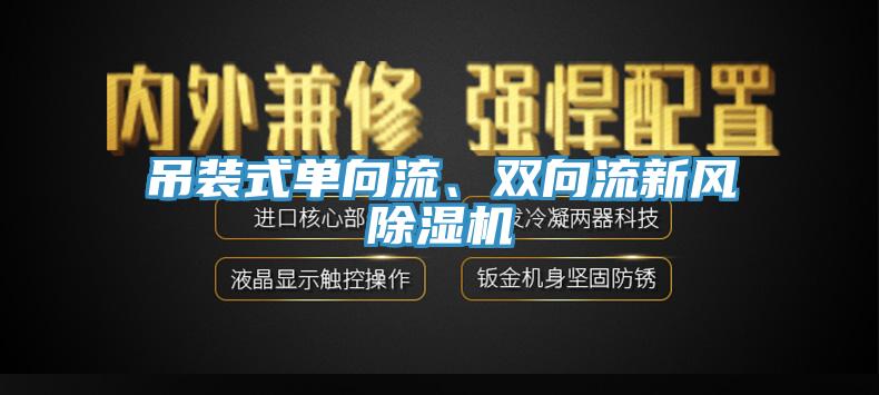 吊装式单向流、双向流新风91香蕉视频下载网站