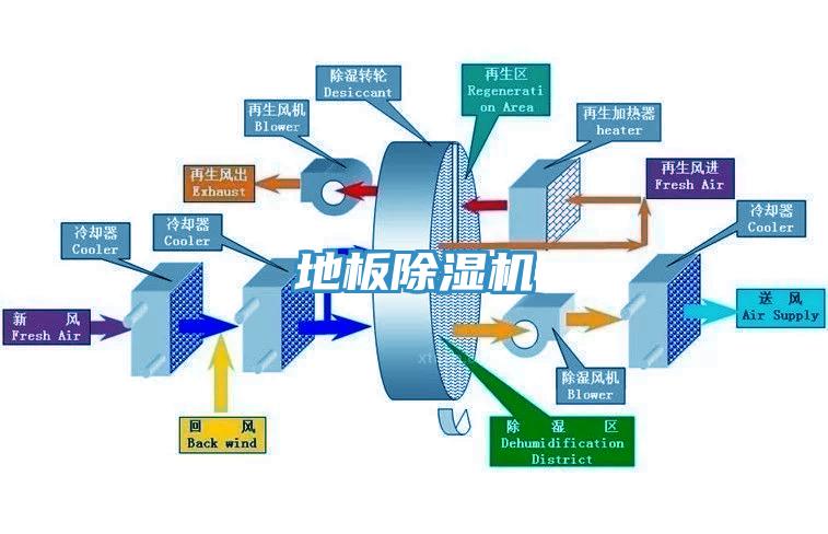 地板91香蕉视频下载网站