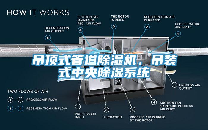 吊顶式管道91香蕉视频下载网站，吊装式中央除湿系统