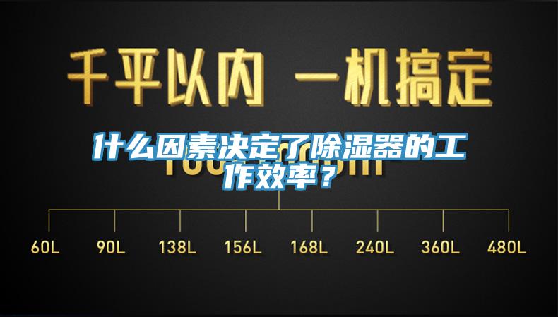 什么因素决定了除湿器的工作效率？