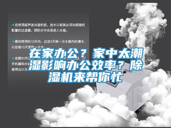 在家办公？家中太潮湿影响办公效率？91香蕉视频下载网站来帮你忙