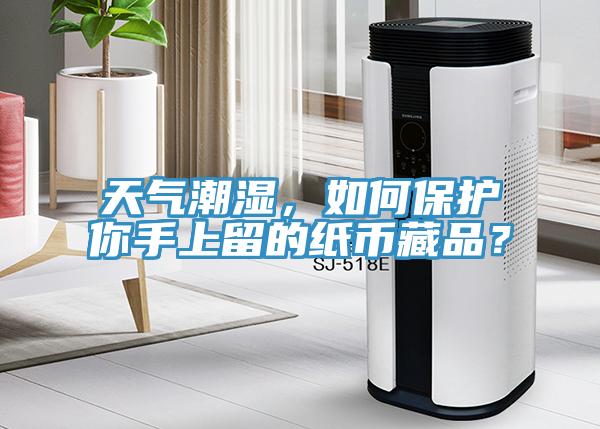 天气潮湿，如何保护你手上留的纸币藏品？