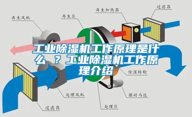 工业91香蕉视频下载网站工作原理是什么 ？工业91香蕉视频下载网站工作原理介绍