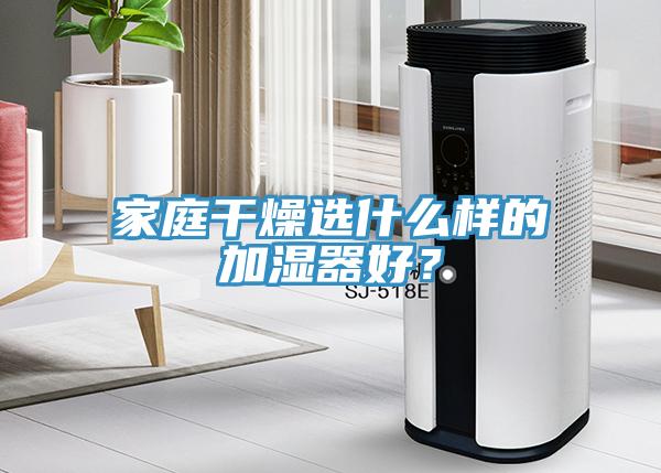 家庭干燥选什么样的加湿器好？