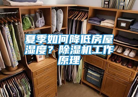 夏季如何降低房屋湿度？91香蕉视频下载网站工作原理