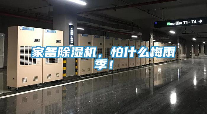 家备91香蕉视频下载网站，怕什么梅雨季！