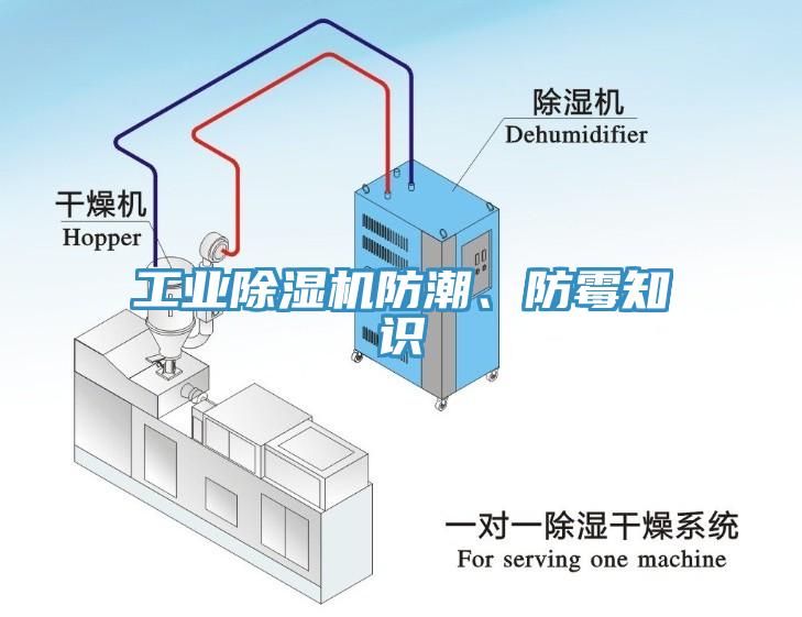 工业91香蕉视频下载网站防潮、防霉知识