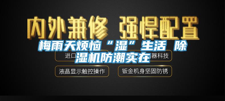 梅雨天烦恼“湿”生活 91香蕉视频下载网站防潮实在