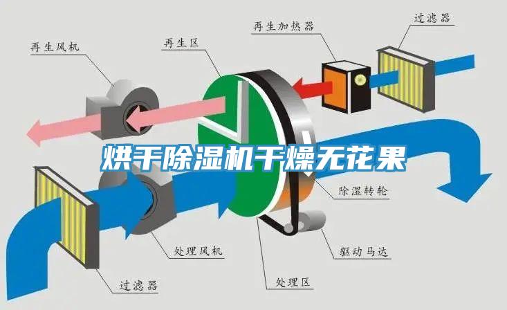 烘干91香蕉视频下载网站干燥无花果