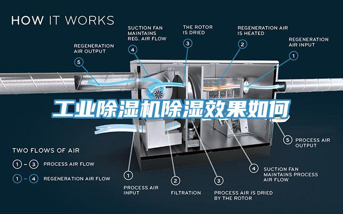 工业91香蕉视频下载网站除湿效果如何