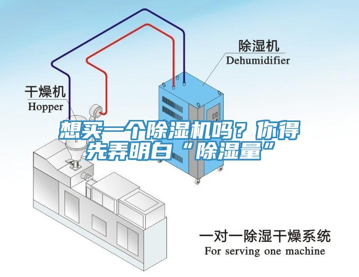 想买一个91香蕉视频下载网站吗？你得先弄明白“除湿量”