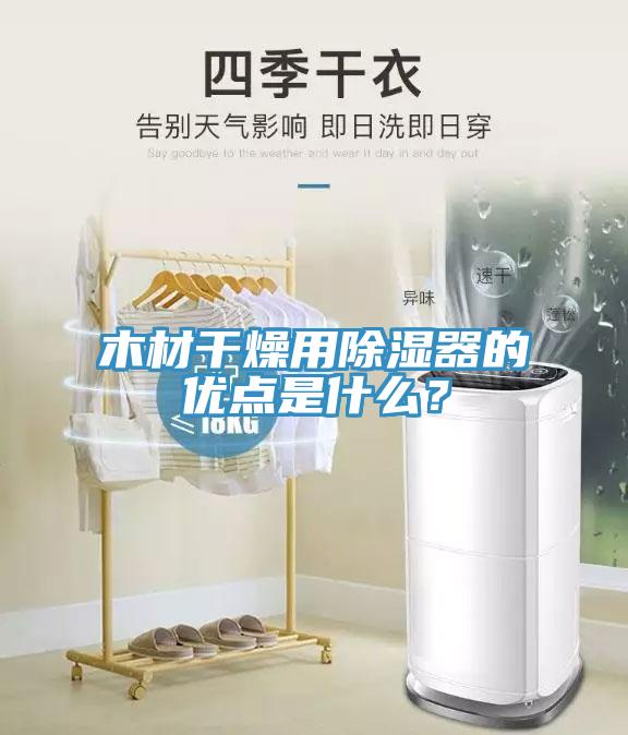 木材干燥用除湿器的优点是什么？