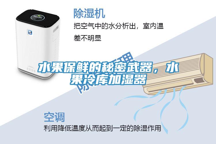 水果保鲜的秘密武器，水果冷库加湿器