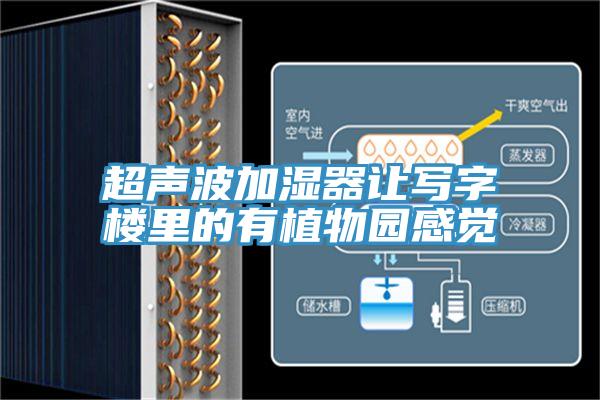 超声波加湿器让写字楼里的有植物园感觉