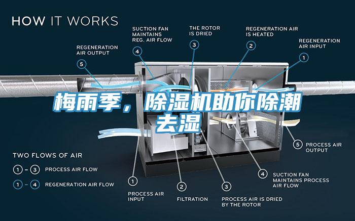 梅雨季，91香蕉视频下载网站助你除潮去湿