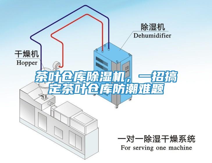 茶叶仓库91香蕉视频下载网站，一招搞定茶叶仓库防潮难题