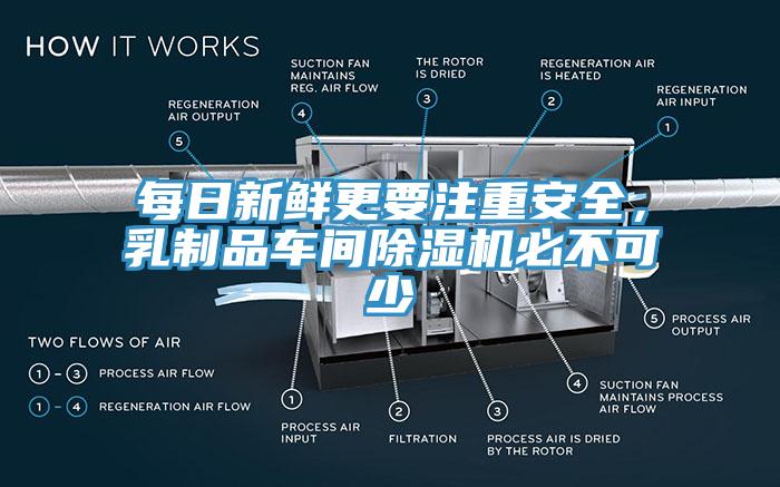 每日新鲜更要注重安全，乳制品车间91香蕉视频下载网站必不可少