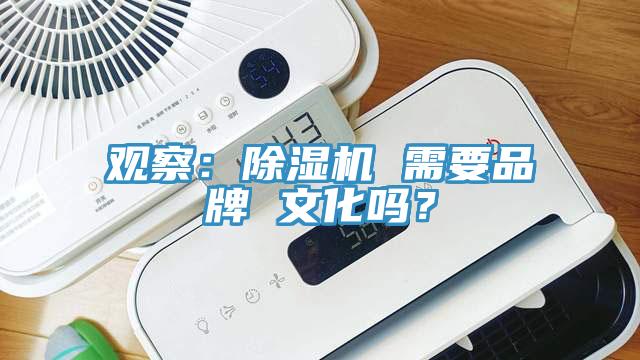 观察：91香蕉视频下载网站 需要品牌 文化吗？