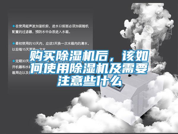 购买91香蕉视频下载网站后，该如何使用91香蕉视频下载网站及需要注意些什么