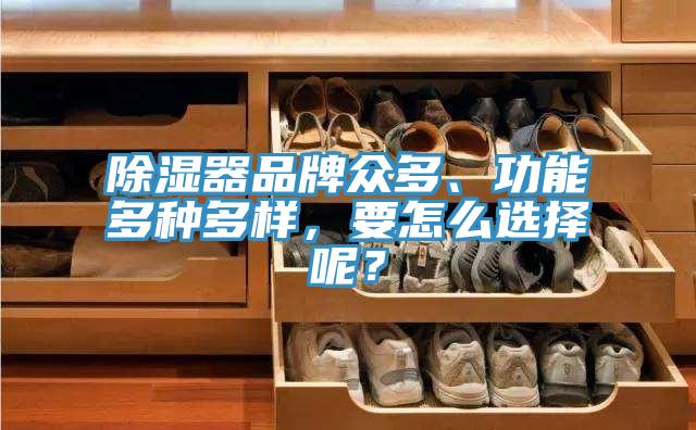 除湿器品牌众多、功能多种多样，要怎么选择呢？