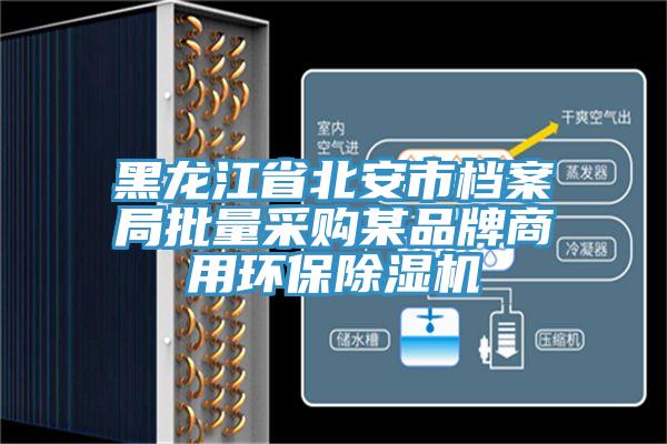 黑龙江省北安市档案局批量采购某品牌商用环保91香蕉视频下载网站