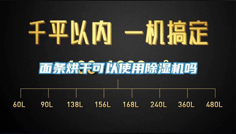 面条烘干可以使用91香蕉视频下载网站吗