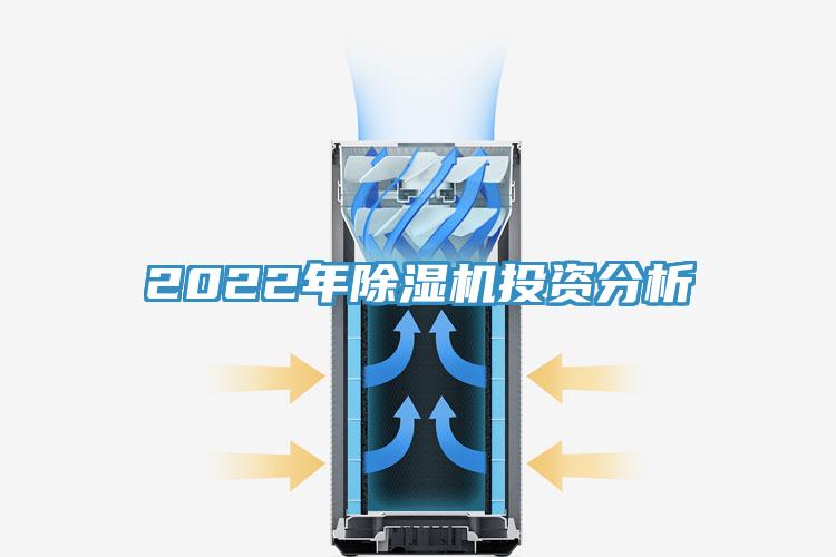 2022年91香蕉视频下载网站投资分析