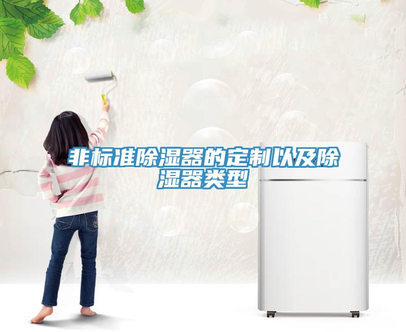 非标准除湿器的定制以及除湿器类型