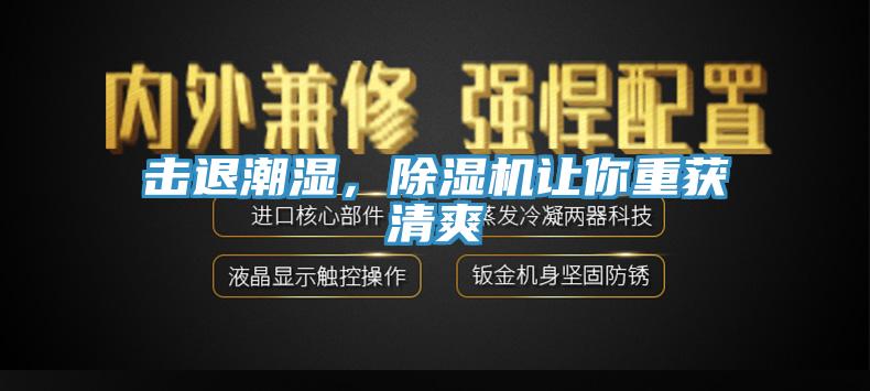 击退潮湿，91香蕉视频下载网站让你重获清爽