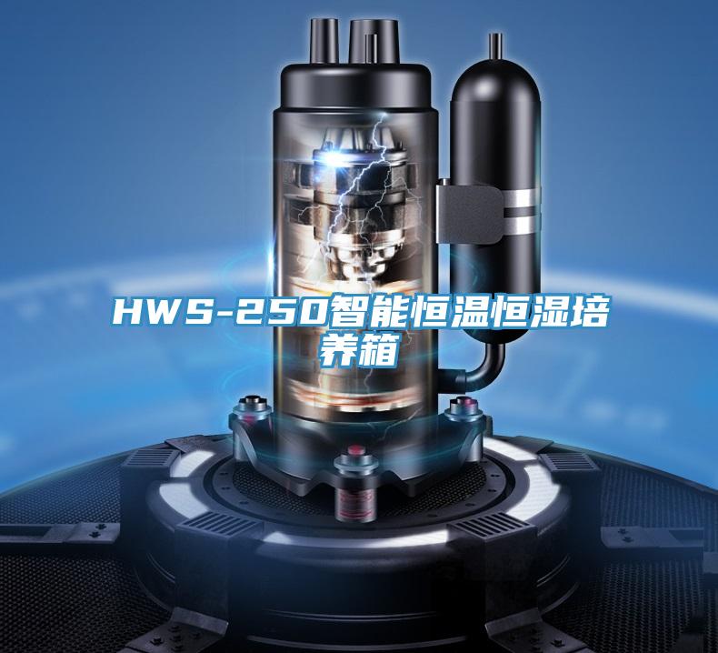 HWS-250智能恒温恒湿培养箱