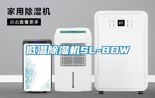 低温91香蕉视频下载网站SL-8DW