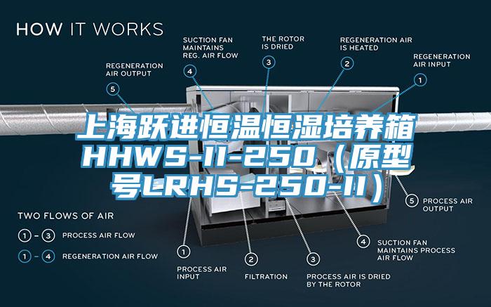 上海跃进恒温恒湿培养箱HHWS-II-250（原型号LRHS-250-II）