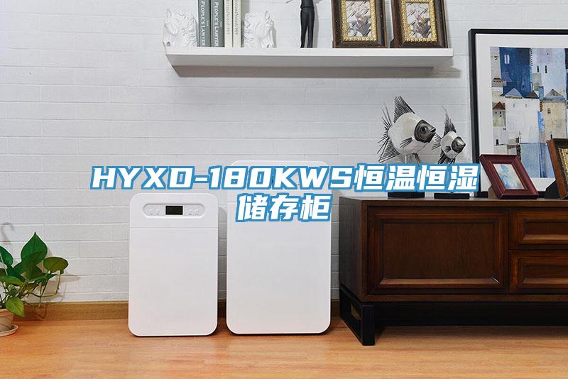 HYXD-180KWS恒温恒湿储存柜