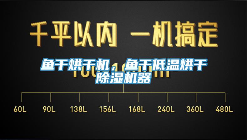 鱼干烘干机，鱼干低温烘干91香蕉视频下载网站器