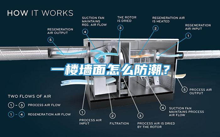 一楼墙面怎么防潮？