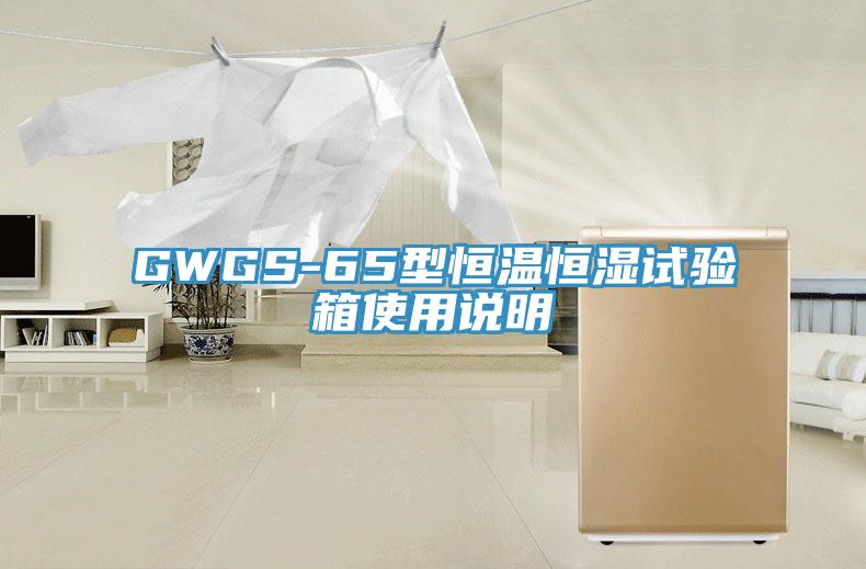 GWGS-65型恒温恒湿试验箱使用说明