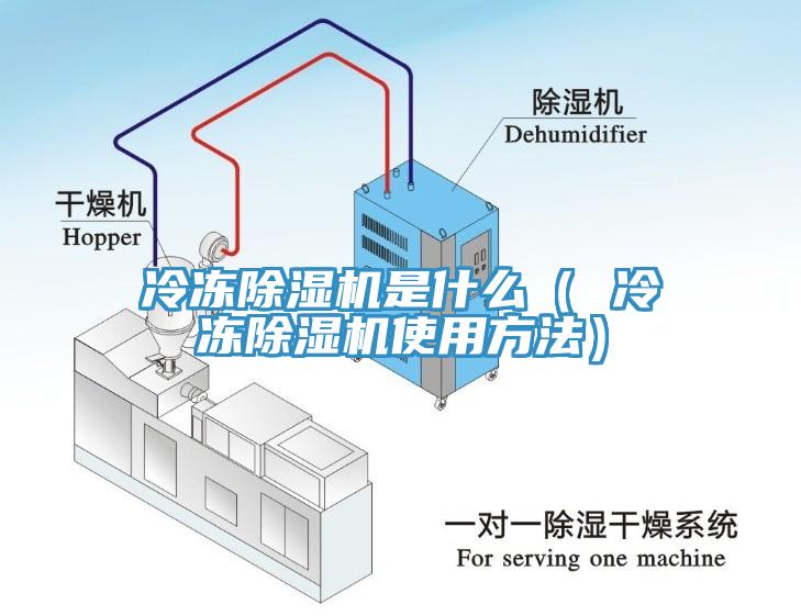 冷冻91香蕉视频下载网站是什么（ 冷冻91香蕉视频下载网站使用方法）