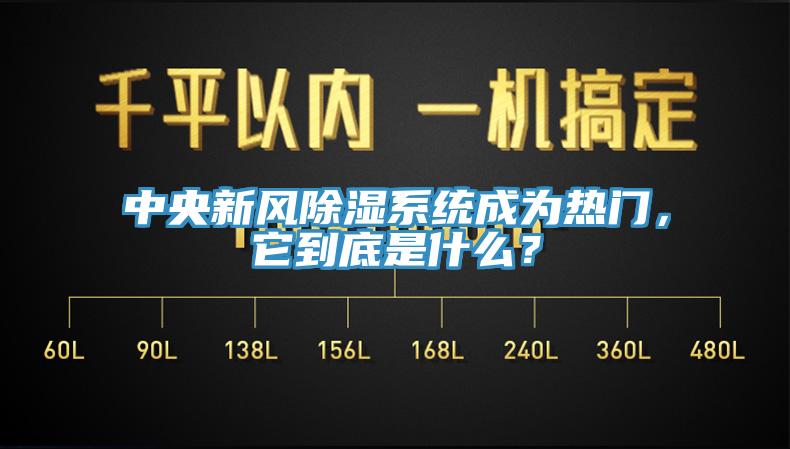 中央新风除湿系统成为热门，它到底是什么？