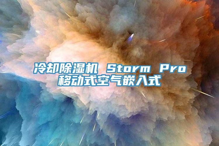 冷却91香蕉视频下载网站 Storm Pro移动式空气嵌入式