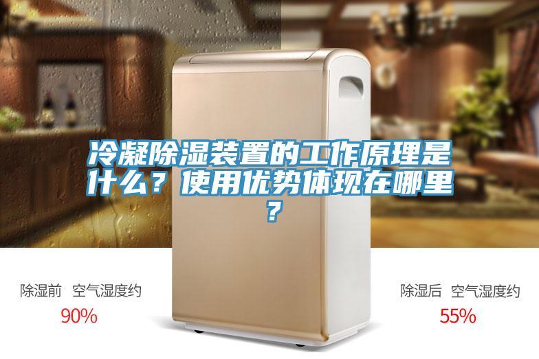 冷凝除湿装置的工作原理是什么？使用优势体现在哪里？