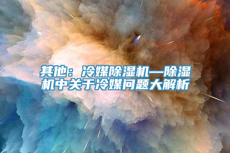 其他：冷媒91香蕉视频下载网站—91香蕉视频下载网站中关于冷媒问题大解析