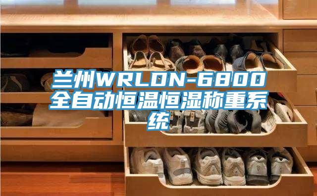 兰州WRLDN-6800全自动恒温恒湿称重系统