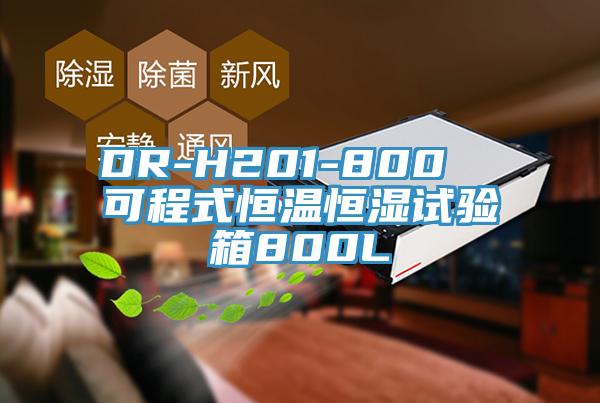 DR-H201-800  可程式恒温恒湿试验箱800L